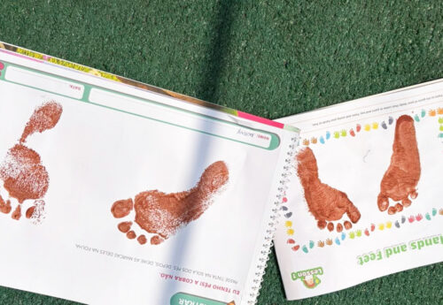 Partes do nosso corpo