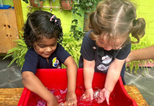 Dia mundial da água