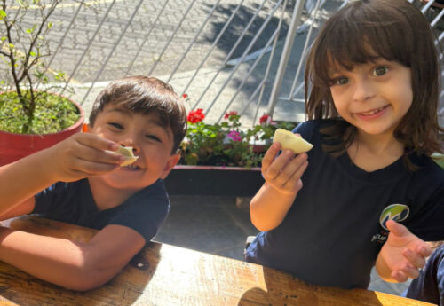 Ovo cru e/ou cozido – quais as diferenças?